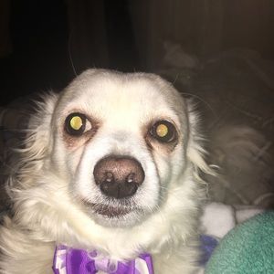 Meet your Posher, Emma